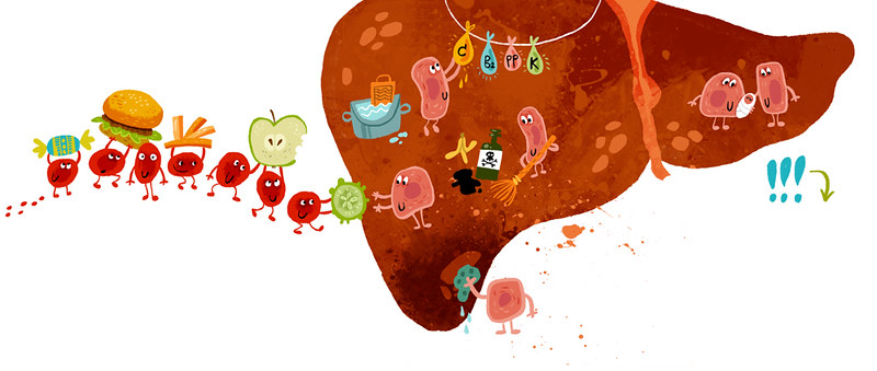 liver-diseases.jpg